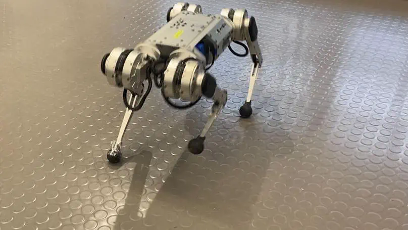 Learning Quadruped Locomotion Using Differentiable Simulation